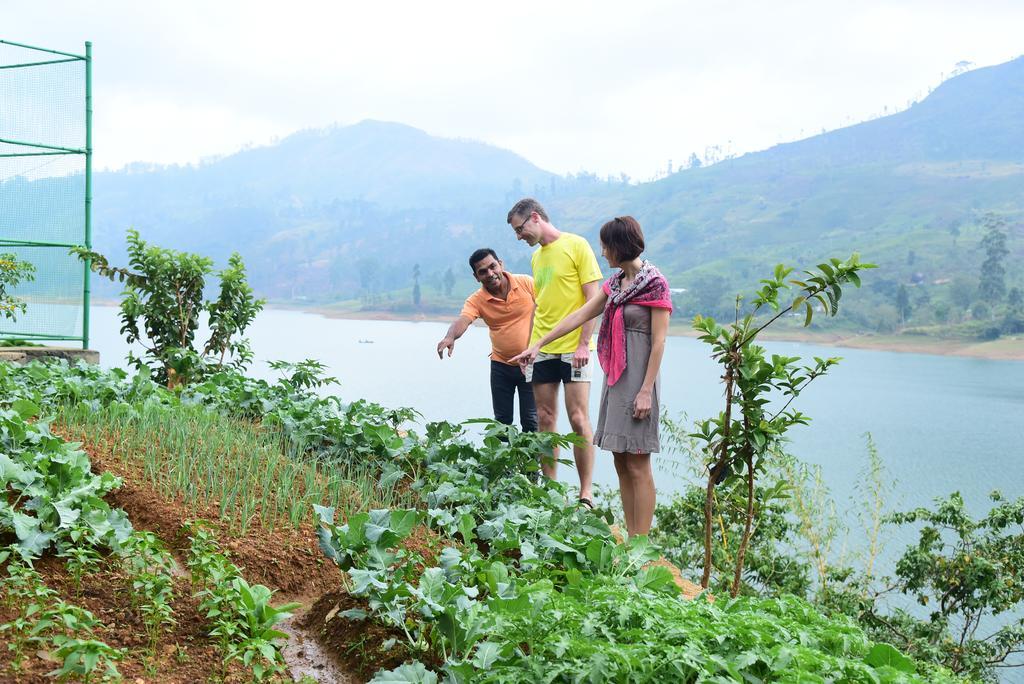 Hatton Summer House Ngoại thất bức ảnh